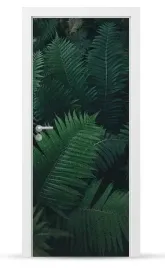 fototapeta-naklejka-okleina-drzwi-szafy-meble-sd061