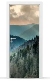 fototapeta-naklejka-okleina-drzwi-szafy-meble-sd127