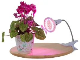 lampa-do-kwietnika-20w-mocna-wzmacnia-zima-brak-slonca