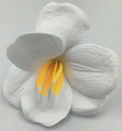 mydlany-tulipan-otwarty-bialy-sztuka