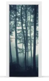 fototapeta-naklejka-okleina-drzwi-szafy-meble-sd119