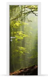fototapeta-naklejka-okleina-drzwi-szafy-meble-sd121
