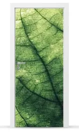 fototapeta-naklejka-okleina-drzwi-szafy-meble-sd054