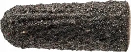 pferd-pc-kel-0515-a-150