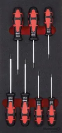 modul-narzedziowy-1-3-wkretaki-torx-format
