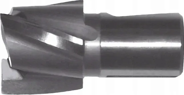 frez-gfs-270410