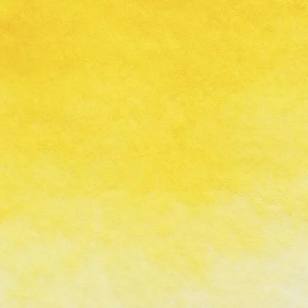 akwarela-biale-noce-228-indian-yellow