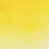 akwarela-biale-noce-228-indian-yellow