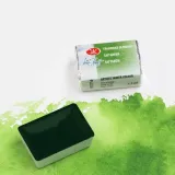 akwarela-biale-noce-716-sap-green