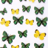 folia-transferowa-spring-100-cm-nr-9-stan-nowy