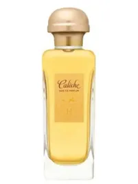 hermes-caleche-soie-de-parfum-eau-de-parfum-100ml-discontinued-unbox