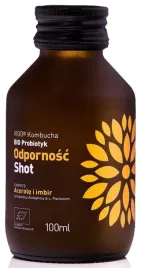 vigos-hot-kombucha-odpornosc-bezgluten-bio-100ml