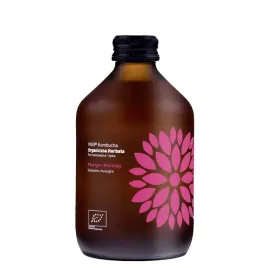 kombucha-mango-marakuja-bio-330ml-vigo-herbata