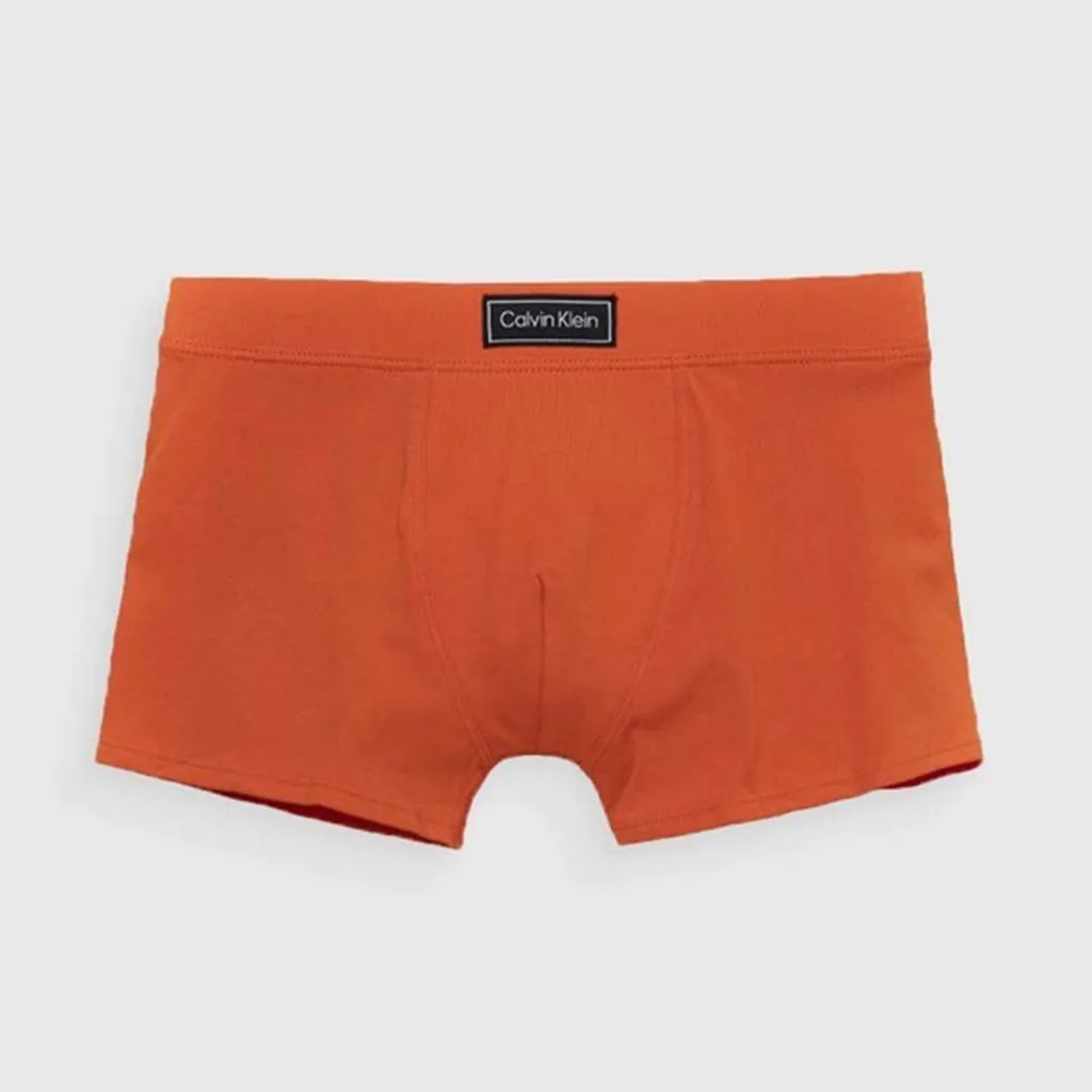 bokserki-dzieciece-calvin-klein-2-pack-b70b700438