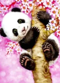 malowanie-po-numerach-panda-obraz-z-rama-40x50