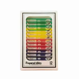 preparaty-do-mikroskopow-zestaw-12-sztuk-plastikowe-bezpieczne-dla-dzieci