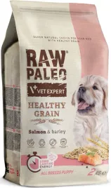 raw-paleo-healthy-grain-sucha-karma-dla-psa-doroslego-losos-2kg