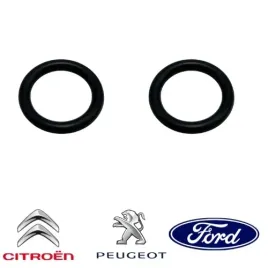 oringi-przewodu-wodnego-2-0-hdi-peugeot-ford-citroen-134087-2-sztuki