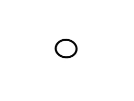 oring-przewodu-nagrzewnicy-kuga-c-max-focus-1342708