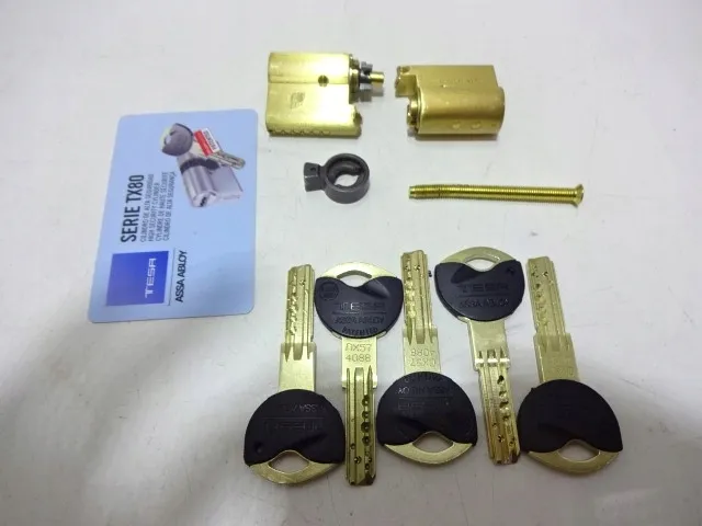 elektrozaczep-tesa-tx80-kod-taryfy-celnej-83014011