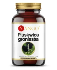 yango-pluskwica-groniasta-cla-90-kap