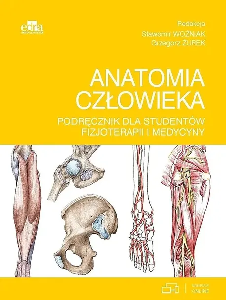 ANATOMIA CZŁOWIEKA. PODRĘCZNIK DLA STUDENTÓW... - Sławomir Woźniak, Grzegorz Żurek