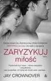 zaryzykuj-milosc-tom-2