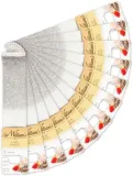 herbata-biala-sir-william-s-lady-white-12x3g-forma-ekspresowa