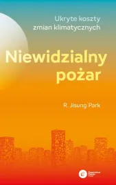 niewidzialny-pozar-ukryte-koszty-zmian