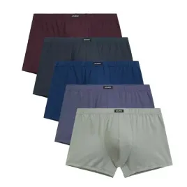 atlantic-bokserki-5smh-002-5-pak-gra-zie-bur-ind-den-mix-xl