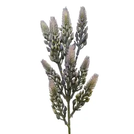 dodatek-gumowany-fioletowy
