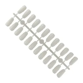 tipsy-na-holder-do-ramki-wzornikow-ekspozytorow-mleczne-muszle-240szt