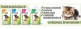 super-benek-corn-naturalny-7l-marka-super-benek