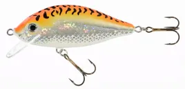 jaxon-wobler-holo-select-karas-75cm-f-gft