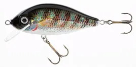 jaxon-wobler-holo-select-karas-90cm-f-o