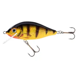 jaxon-wobler-holo-select-karas-90cm-f-og