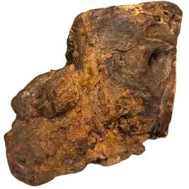 gryzak-dla-psa-korzen-wrzosca-xxl-750-1000g-naturalny-twardy
