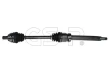 gsp-218206-polos-prawa