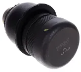 sworzen-wahacza-jeep-compass-06-producent-czesci-trw