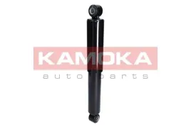 2000992-kam-amortyzator-tyl-citroen-fiat-peugeot