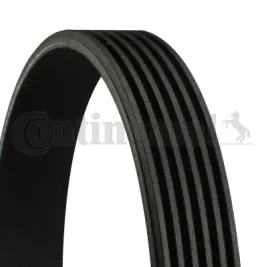 continental-6pk2498-pasek-klinowy-wielorowkowy