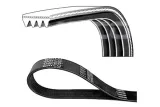 pasek-w-klinowy-dayco-numer-katalogowy-czesci-4pk880