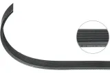 pasek-w-klinowy-dayco-jakosc-czesci-zgodnie-z-gvo-q-oryginal-z-logo-producenta-czesci-oem-oes