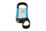 pasek-w-klinowy-dayco-numery-katalogowe-zamiennikow-a-z-meisterteile-azmt-20-033-1561-autex-6pk1360-blue-print-ad06r1360-hutchinson-1360-k-6-ipd-29-6pk1360-japko-6pk1360-kamoka-7016102-omnicraft-2330001-procodis-france-6pk1360-quinton-hazell-qbr61360-ridex-305p0127-ridex-305p0127p-schaeffler-ina-fb-6pk1360-skf-vkmv-6pk1360-snr-ca6pk1360-stellox-06-01360-sx-wilmink-group-wg1153057-wilmink-group-wg1781561-wilmink-group-wg2002554-zentparts-z22623