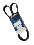 pasek-w-klinowy-dayco-numery-katalogowe-zamiennikow-a-b-a-8pk1716-a-z-meisterteile-azmt-20-033-1937-bosch-1-987-947-058-dt-spare-parts-5-41411-febi-bilstein-29067-gates-8pk1715hd-hutchinson-1718-k-8-hutchinson-1718-k-8tk-mec-diesel-294715-optibelt-8-pk-1715-tm-pe-automotive-080-731-00a-procodis-france-8pk1715-stellox-08-01715-sx-trucktec-automotive-03-19-067-wilmink-group-wg2003241-zentparts-z22976