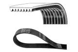 pasek-w-klinowy-dayco-numery-katalogowe-zamiennikow-a-z-meisterteile-azmt-20-033-1936-bosch-1-987-947-399-continental-ctam-8pk1688-dt-spare-parts-7-54809-febi-bilstein-29066-gates-8pk1688hd-hutchinson-1690-k-8tk-kamoka-7018004-mec-diesel-294705-mec-diesel-380020-mec-diesel-380021-mec-diesel-383790-optibelt-8-pk-1688-tm-optibelt-8-pk-1875-tm-pe-automotive-080-685-00a-procodis-france-8pk1688-skf-vkmv-8pk1688-hd-wilmink-group-wg1153406-wilmink-group-wg2003232-zentparts-z23048