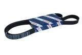 pasek-micro-v-6pk1513-bosch-numery-katalogowe-zamiennikow-a-b-a-6pk1513-a-z-meisterteile-azmt-20-033-1584-a-z-meisterteile-azmt-20-033-1585-a-z-meisterteile-azmt-20-033-1586-blue-print-ad06r1515-febi-bilstein-45832-herth-buss-jakoparts-j1061510-lynxauto-6pk1513-nps-h111i07-optibelt-6-pk-1515-procodis-france-6pk1510-procodis-france-6pk1515-ridex-305p0506-skf-vkmv-6pk1856-stellox-06-01510-sx-swag-33-10-5734-zentparts-z22635