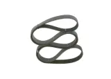 pasek-micro-v-7pk1753-bosch-numer-katalogowy-oryginalu-daf-1638698-daf-1812162-nissan-117205x00a