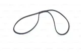 pasek-micro-v-3pk740-bosch-numery-katalogowe-zamiennikow-a-z-meisterteile-azmt-20-033-1022-asam-automotive-55990-auto-france-parts-46-030740-bolk-bol-3pk740-dayco-3pk740-febi-bilstein-28746-kamoka-7013008-master-sport-germany-3pk750-pcs-ms-nps-r112t01-open-parts-pvb0740-03-optibelt-3-pk-740-procodis-france-3pk0740-red-line-993pk737-red-line-993pk740-stellox-03-00736-sx-swag-60-92-8746-triscan-8640-300738-triscan-8640-300738e-wilmink-group-wg1781346-wilmink-group-wg2001989