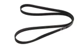 pasek-micro-v-6pk1610-bosch-numer-katalogowy-oryginalu-audi-022-145-933-ag-audi-022-145-933-ap-audi-03g-903-137-e-fiat-7565945-ford-1102826-lancia-7565945-seat-03g-903-137-e-skoda-022-145-933-ag-skoda-022-145-933-ap-skoda-03g-903-137-e-volvo-1271828-volvo-3547573-volvo-6849008-volvo-9146900-vw-022-145-933-ag-vw-022-145-933-ap-vw-03g-903-137-e-vw-03l-903-137-ab-vw-03l-903-137-r